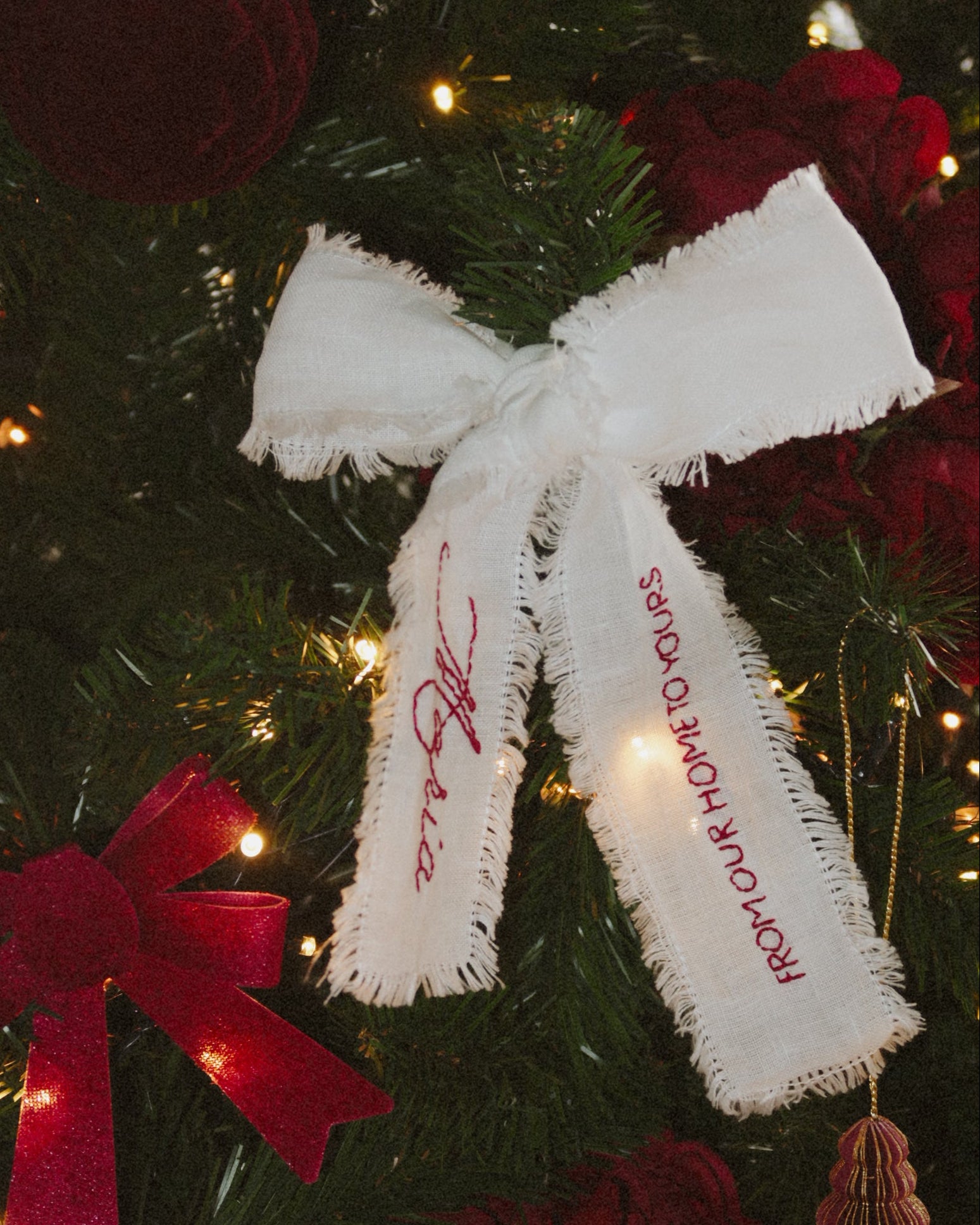 LAZO DE NAVIDAD EDICIÓN LIMITADA